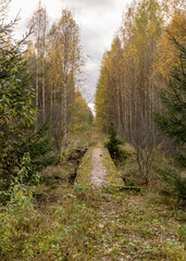 old railway without rails, reinforced concrete bridge over the bog ditch, peat bog development, autumn