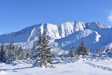 Fototapeta na wymiar Polish mountains Tatry winter snow in the mountain