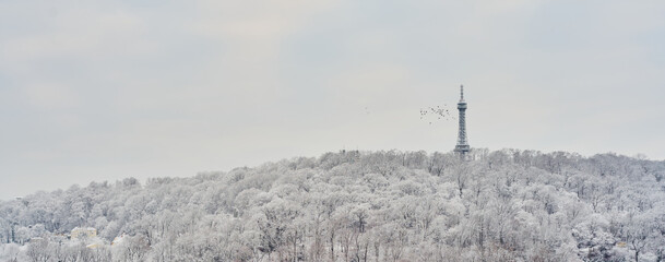 Winter panorama of Prague with Petrin Tower                               