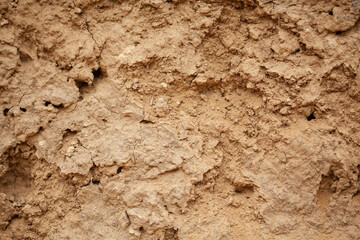 Abstract closeup background and texture of dry Soil inside a mine with holes made by insects.