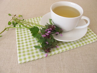 Herbal tea with purple dead nettle, Lamium purpureum