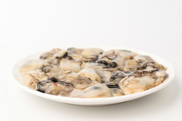Raw oysters on a white background
