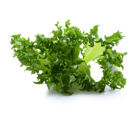 Salad leaf. Lettuce isolated on white background.