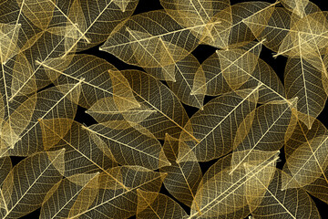 Golden leaf skeletons overlapping on a black background