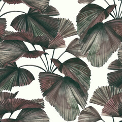 Modèle sans couture avec des feuilles de palmier rondes en forme d& 39 éventail. Illustration stock