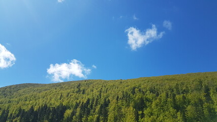 Blue sky with clouds and forest