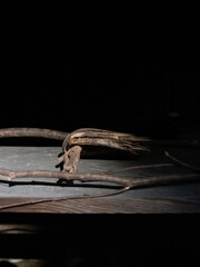 古民家のインテリア