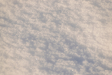 Fresh show background