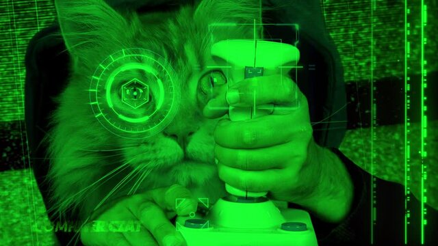 Cool cat playing computer games with joystick