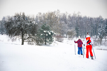 Mother and son or daughter skiers cross country skiing on a track in beautiful winter wonderland scenery in Lithuania in winter, forest, outdoor sports, healthy lifestyle, winter sports, tourism