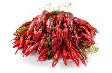 Fototapeta premium A plate full of cooked crayfish, topped with dill. Swedish tradition. Crayfish party. Studio photo isolated on white background. Selective focus on object.