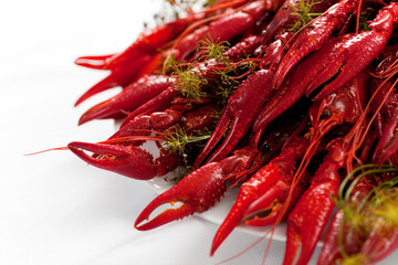 A plate full of cooked crayfish, topped with dill. Swedish tradition. Crayfish party. Studio photo isolated on white background. Selective focus on object.