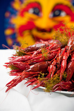 A plate full of cooked crayfish, topped with dill. Swedish tradition. Crayfish party. Studio photo with colorful background. Selective focus on object.