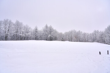 winter landscape in the mountains