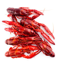 Many cooked crayfishes. Studio photo isolated on white background. Selective focus on object.