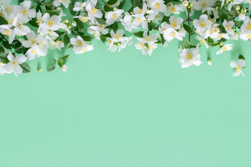 Floral frame. Spring flowers on a green background, copy space.