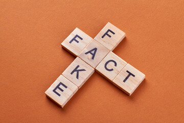 Fact and fake word phrase by letters block. Alphabet cubes with letters isolated on orange...