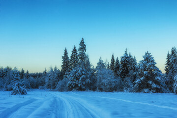 Obraz premium Sunset over a snow covered arctic pine forest in a winter wonderland.