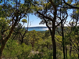 Beautiful view of a mountains and valleys with tall trees and deep blue ocean in the background, Bullimah Lookout, Bouddi National Park, National Park, New South Wales, Australia
