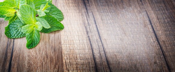 Fresh green sprigs of mint on a wooden table