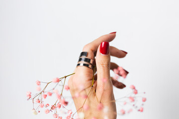 Soft gentle photo of woman hand with big ring red manicure hold cute little pink dried flowers isolated on white background, spring mood.