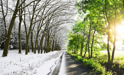 Winter and spring forest. Concept of change season.