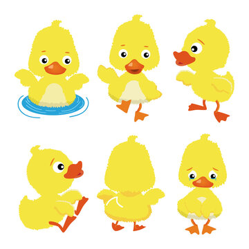 Happy Funny duck cartoon set
