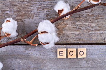 Eco habits as care for nature. Word eco written with wooden blocks. Wooden boards on the background.