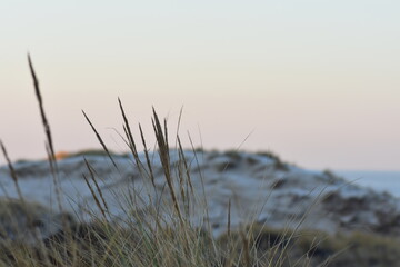 Nordseek&uuml;ste in Niederlande