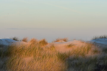 Nordseeküste in Niederlande