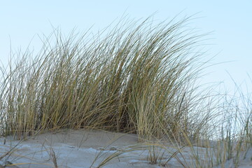 Nordseeküste in Niederlande