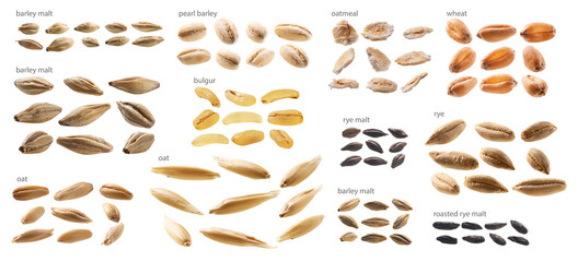 Large set of malt and grains on a white background