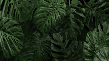 Naklejka na ściany i meble Tropical palm tree background wallpaper 3d render 