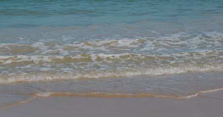 Sea wave over the beach