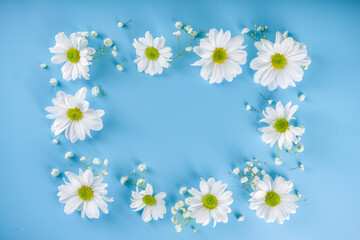 Floral summer background with daisy flowers, on light blue background. Festive summer holiday background, flatlay