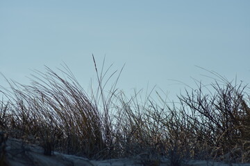 Nordseeküste im Winter von Niederlande