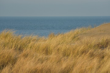 Nordseeküste in Niederlande