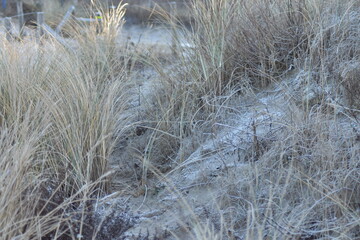Nordseeküste im Winter von Niederlande