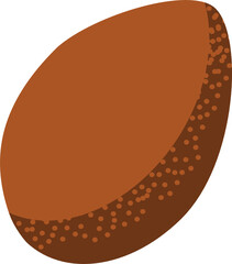 Coconut fruit illustrative vector graphic clipart or icon