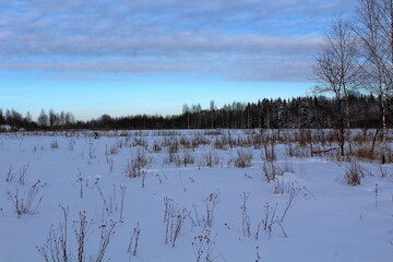 Beautiful winter nature on a frosty day. Unique image of a snow-covered environment.