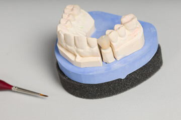 Close up of tools for painting work on artificial dentition and dental imprint in a dental...
