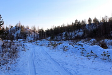Beautiful winter nature on a frosty day. Unique image of a snow-covered environment.