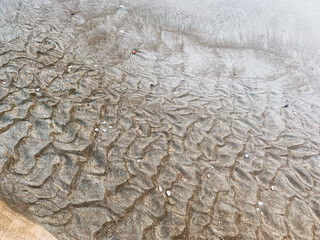 Transparent sea water with ripples, sand texture