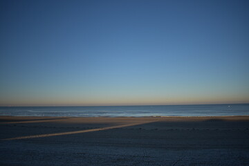 Nordseeküste in Niederlande, Strand, Krabben und Muscheln.