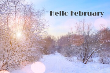 Banner hello February . Winter landscape . Snow and snow trees. Nature. Snow picture. Photo with text. The new month.