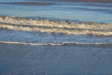 Nordseeküste in Niederlande, Strand, Krabben und Muscheln.