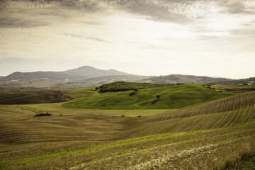 Naklejka premium Italian landscape