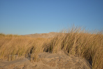 Nordseeküste in Niederlande bei Abenddämmerung im Winter.