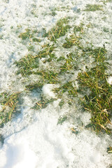 spray, spraying, crystal, freeze, fun, snow, ice, nature, frost, winter, cold, grass, thaw