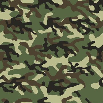 Camouflage seamless pattern horizontal. Print on fabric vector